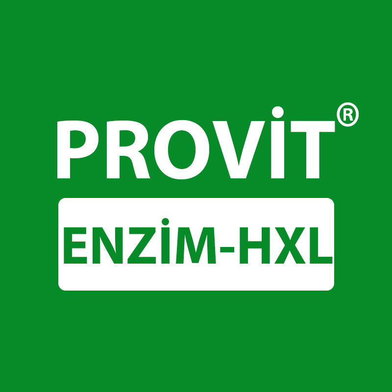 Provit Enzim HXL